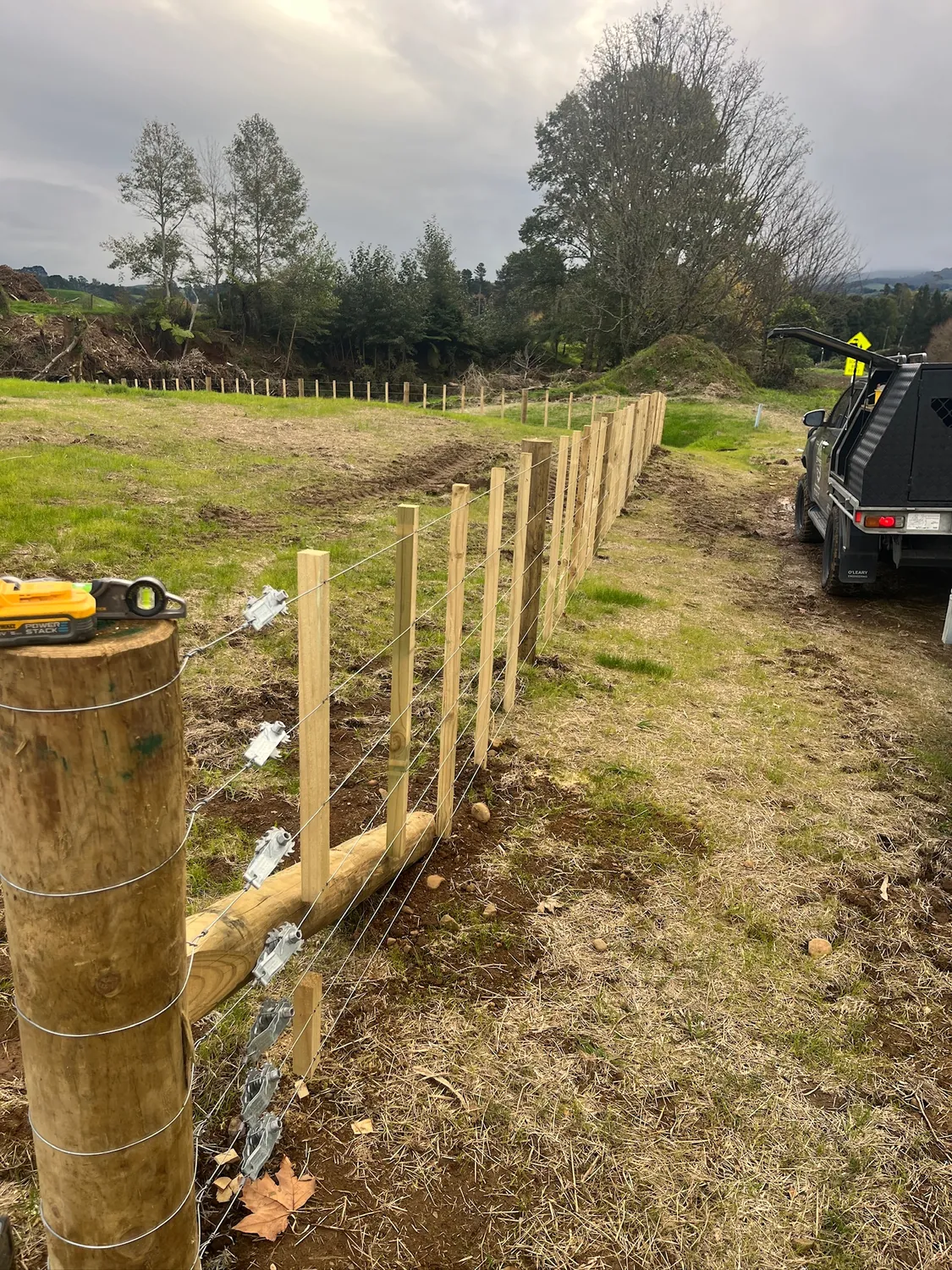 New post and wire fence line across a Waikato farm paddock