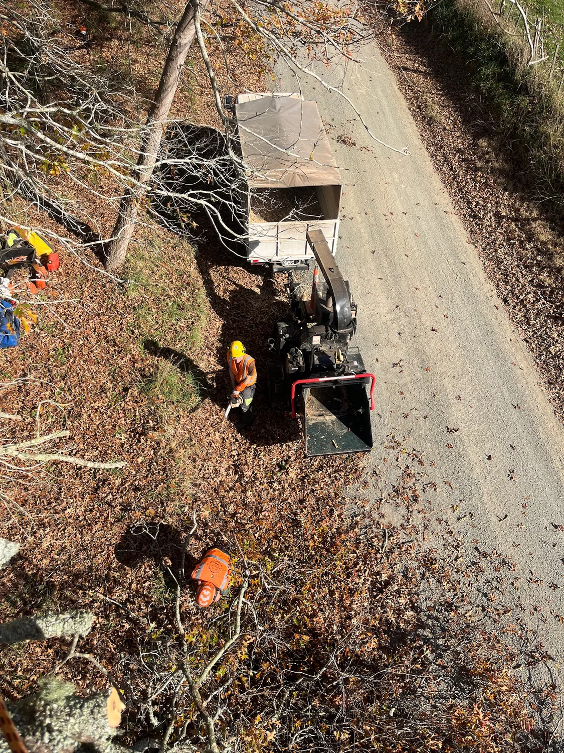 Emergency tree work in the Waikato
